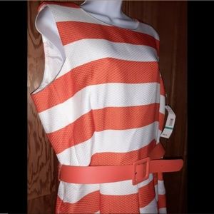 NWT Women's 16 Madison Leigh Striped Dress